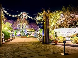 [ ガーデンイルミネーション2025 ] ハーブ庭園 旅日記 勝沼庭園