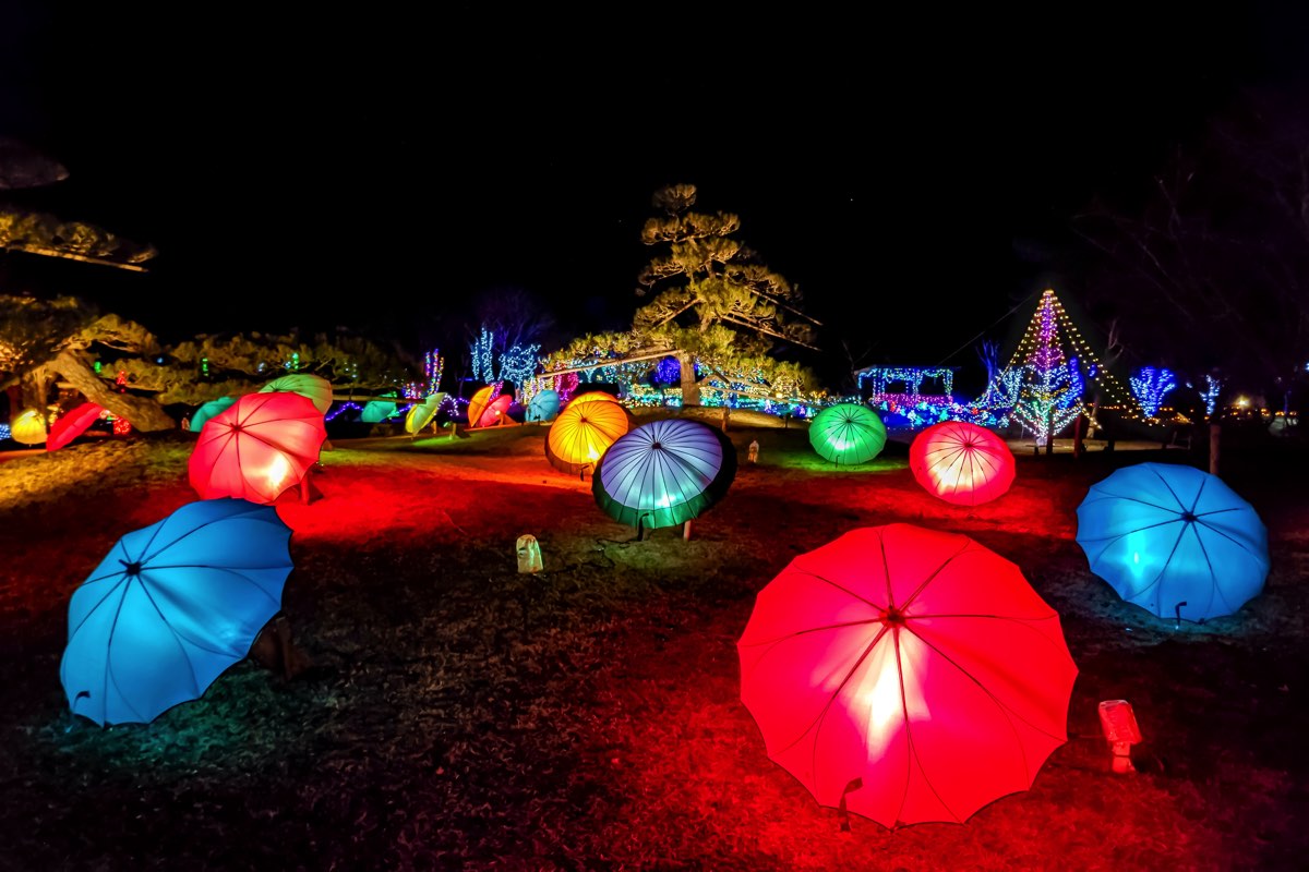 2023イルミネーション ファンタジウム 山中湖 花の都公園