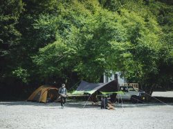 moss camp field