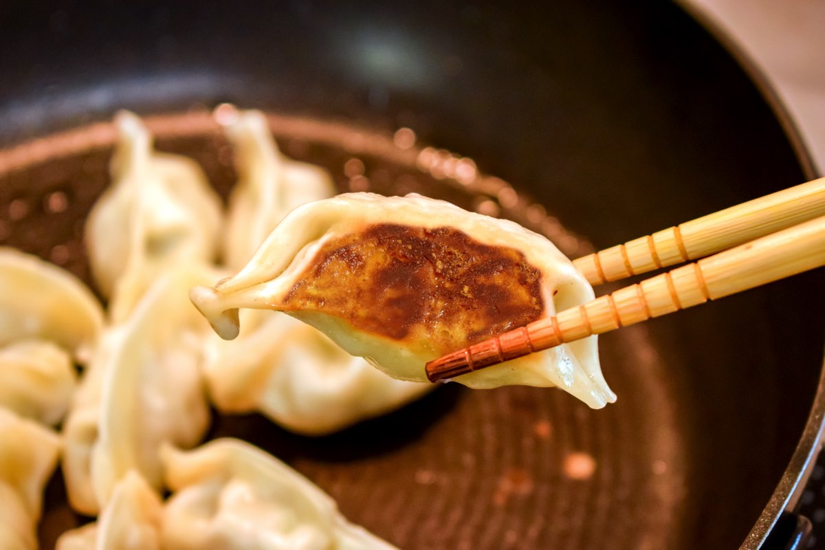 Let's make gyoza!