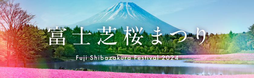 Fuji Shibazakura Festival 2024