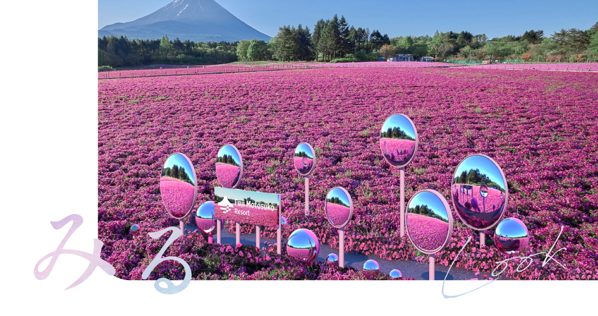 富士芝桜まつり2024でみる