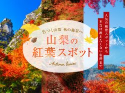 山梨の人気紅葉スポット2025秋~富士との競演や知られざる穴場まで