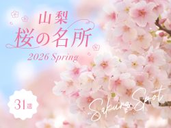山梨の桜名所・お花見スポット2026〜富士山との絶景や夜桜、春のお祭りまで