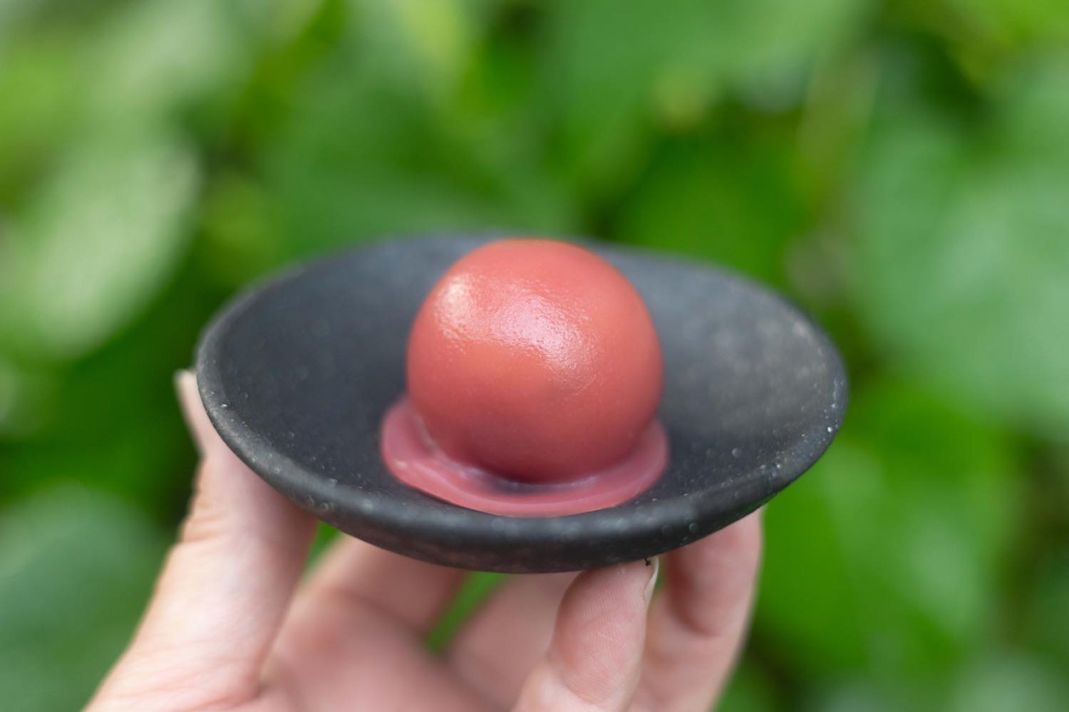 澤田屋 すもも玉 7