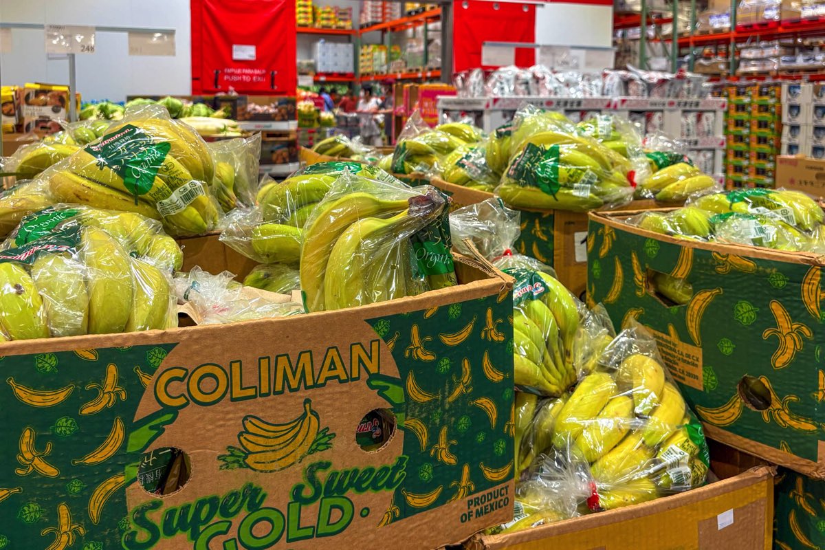 コストコホールセール南アルプス倉庫店