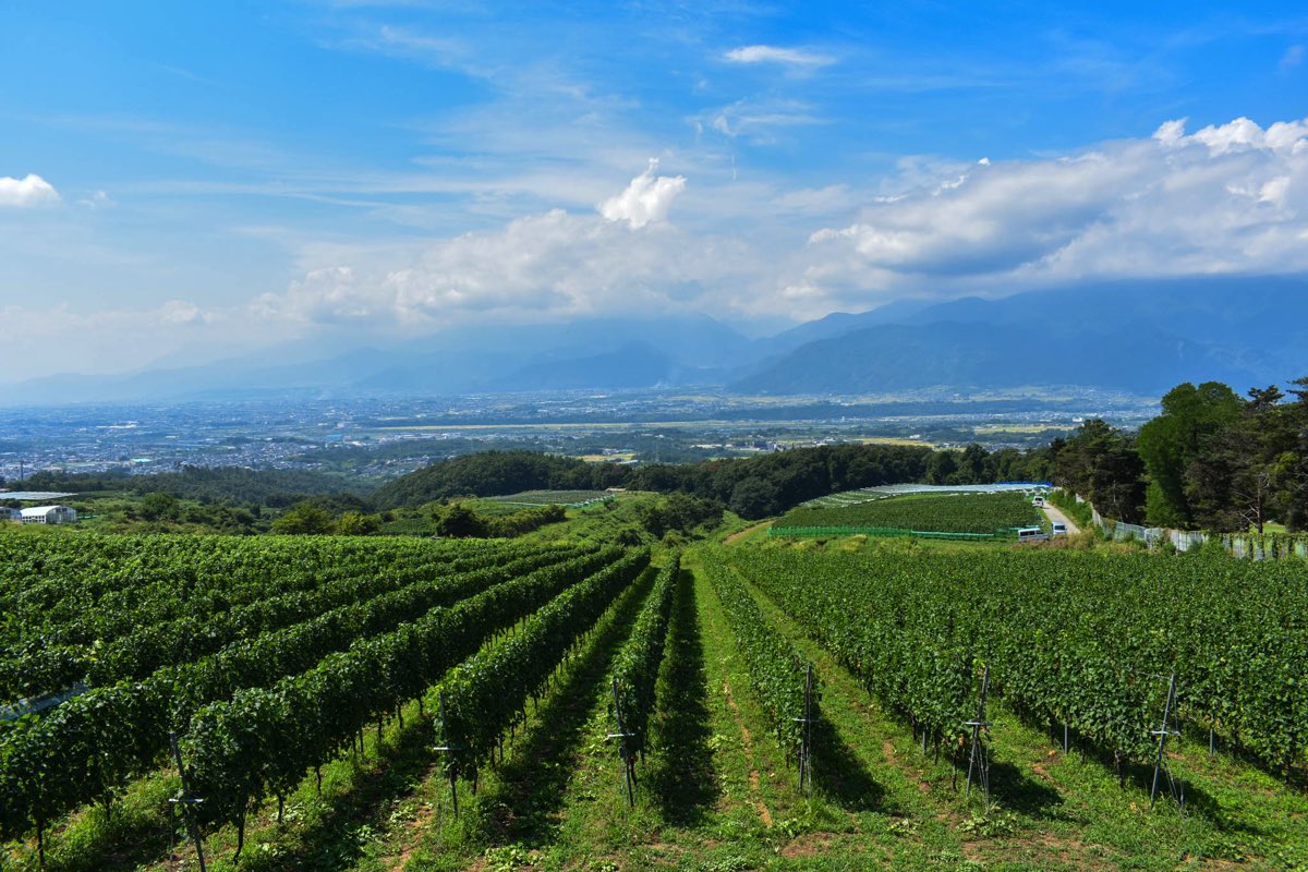 サントリー登美の丘ワイナリー