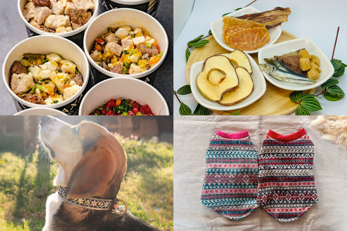 わんちゃんファッションショー＆コンテスト