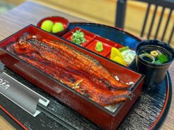 ニホンウナギ 大門