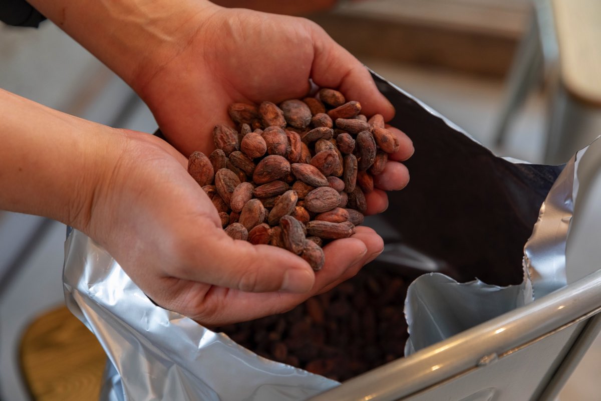 いとま chocolate & ice cream