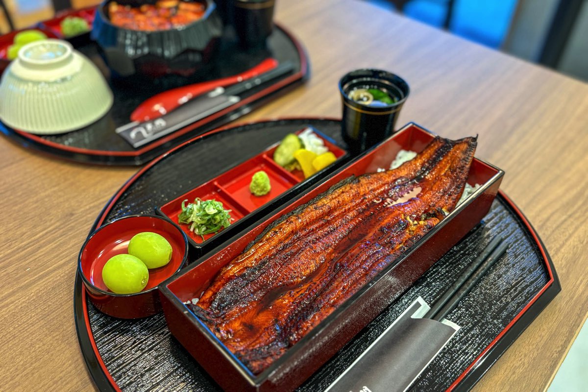 ニホンウナギ 大門