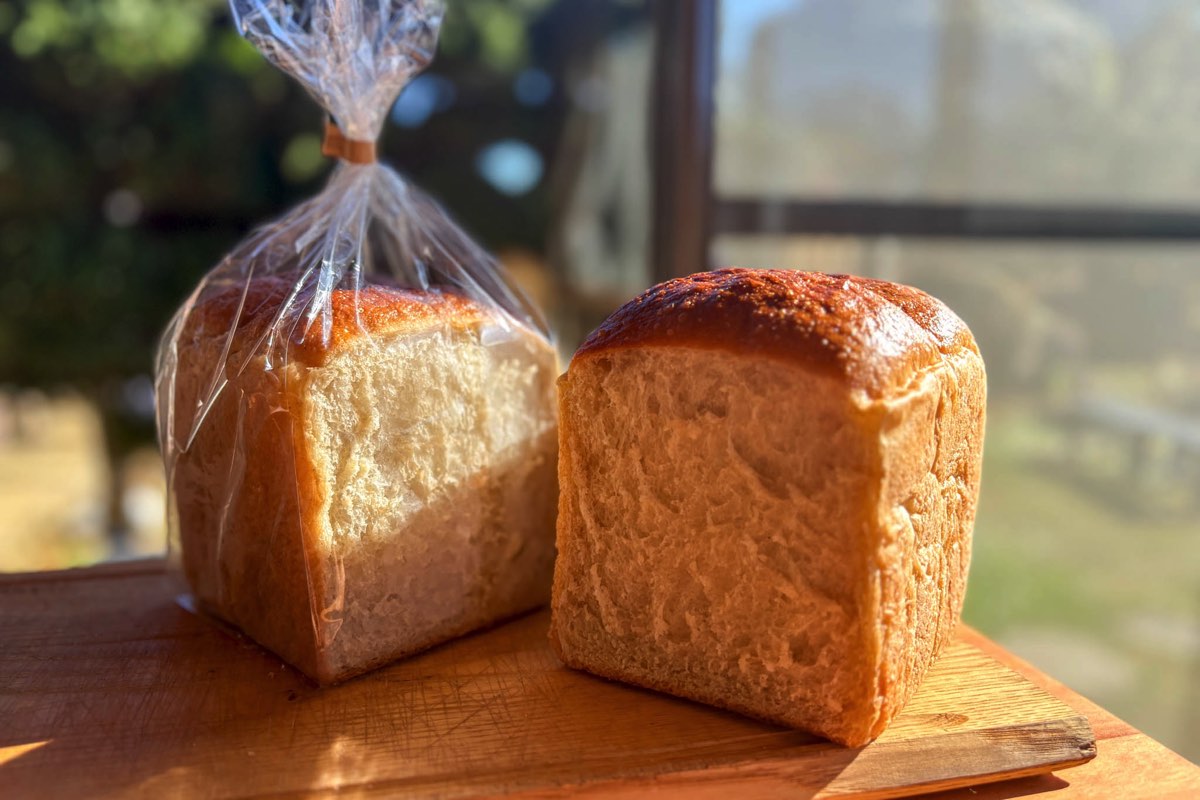 パンとパン料理 紡麦