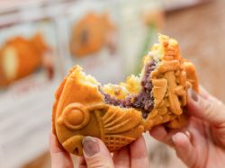 甲賀米粉たい焼き 富士山店