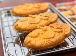 【甲賀米粉たい焼き 富士山店 / 富士急ターミナルビル Q-STA】外はカリッ、中はモチっの新食感！グルテンフリーのたい焼き2025年11月27日Q-STAにオープン