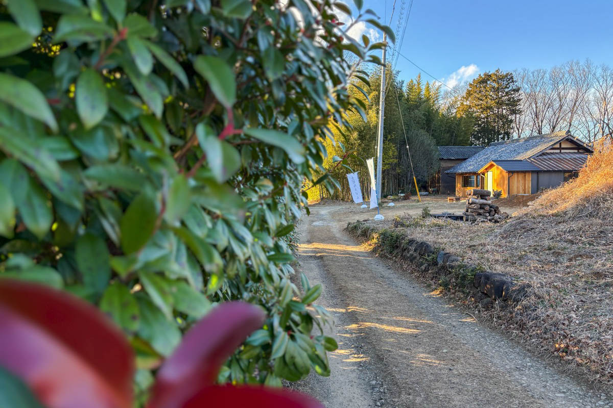 手打ちうどん 虎と草