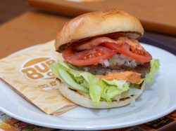 ゼッテリア イオン石和店