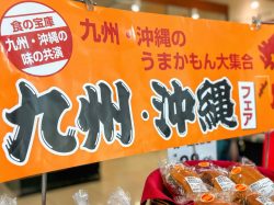 【九州・沖縄フェア / オギノ】バイヤーイチ押しスイーツから黒豚カレー、ご当地ラーメンなど百花繚乱！オギノ全店で2026年3月22日まで開催中