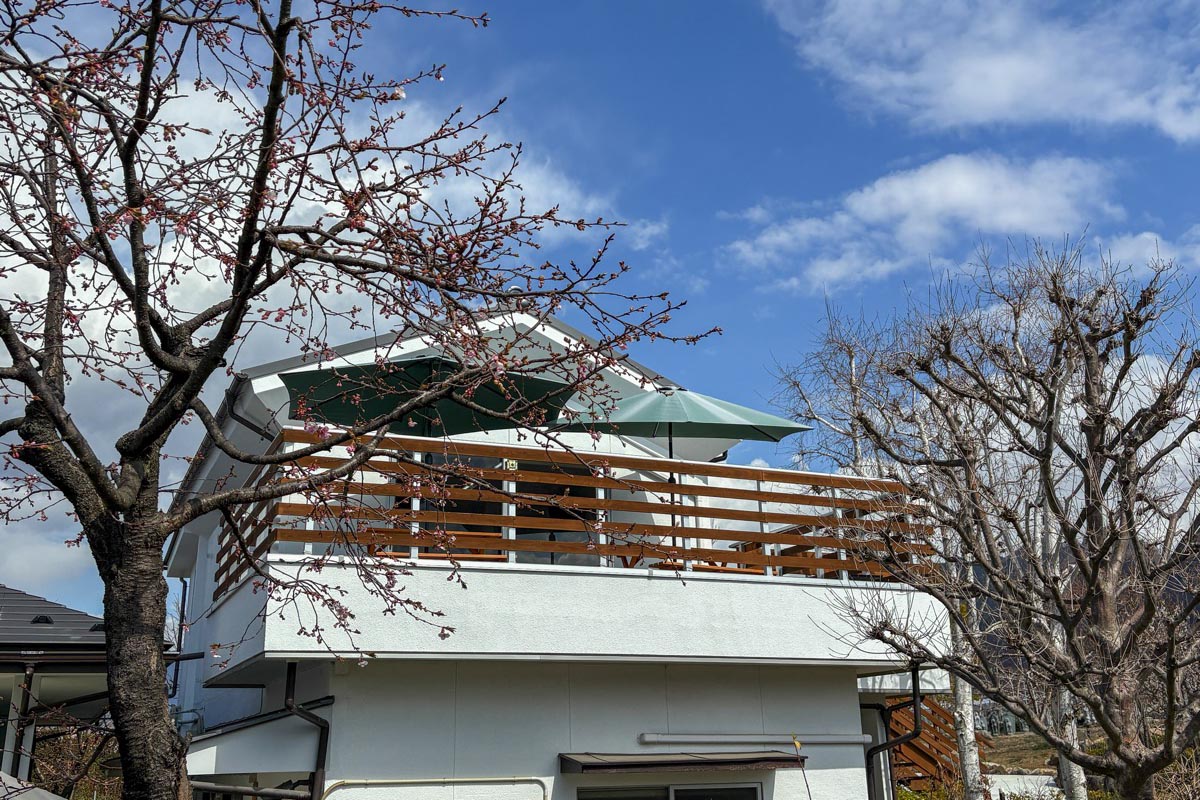 寺カフェ いちょうの樹