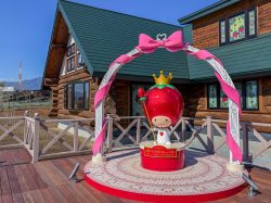 山梨いちごの王さまミュージアム サンリオ創業者 辻信太郎記念館