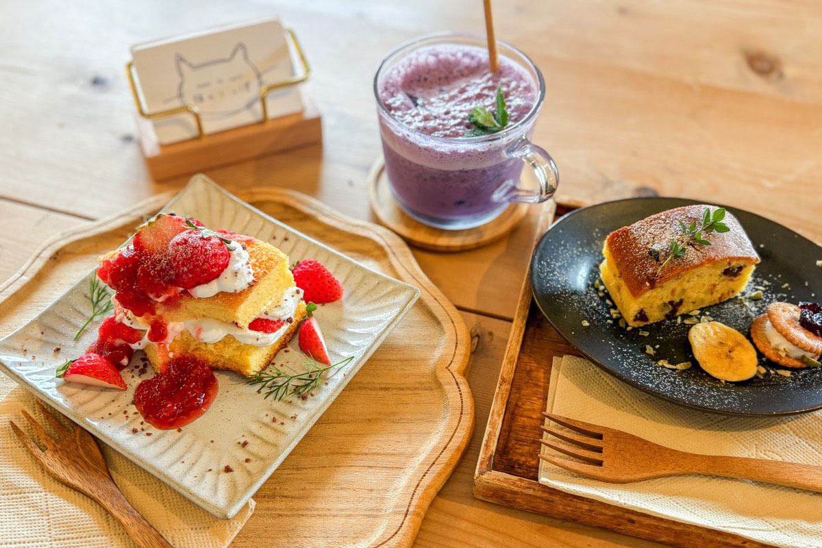 books to curry 猫のしっぽ