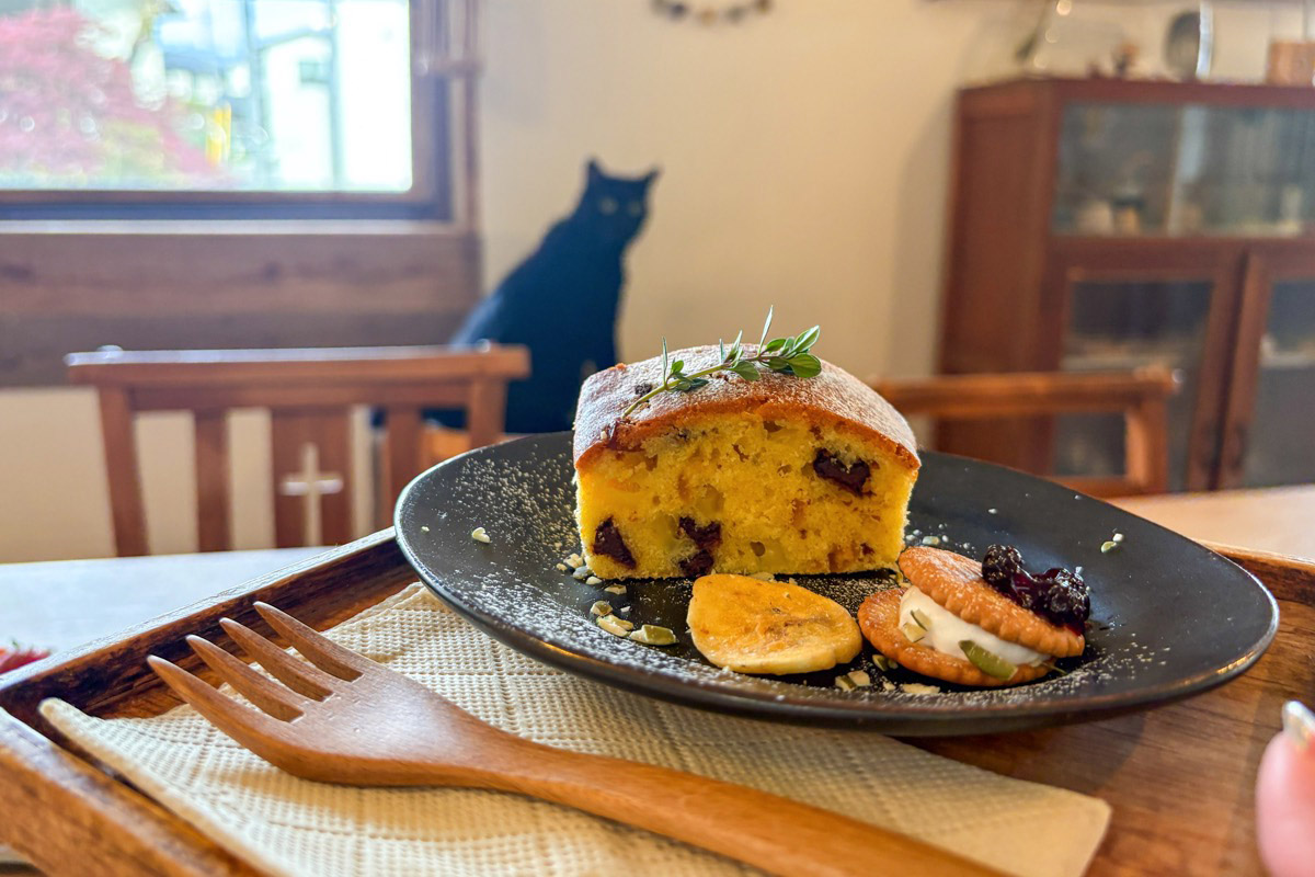 books to curry 猫のしっぽ