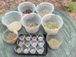 [ ハーブシーズニング＆ソルト作りワークショップ ] Yamanaka Terrace