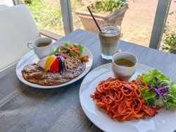 【農のカフェ ベルガモット / 南アルプス市】昔懐かしい喫茶店メニューがワンプレートに！開放感溢れる空間で季節のパフェと2026年5月9日オープン