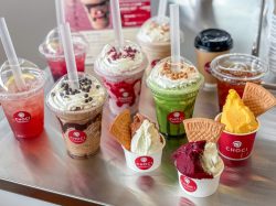 [CHOCI YAMANASHI / Fuefuki City, Isawa Town] Homemade gelato, sorbet, ice cream, shakes, and sodas! A wide variety of cute and delicious new summer menu items are available.
