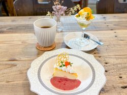 [Ether Noctaria / Showa-cho] A wonderful pop-up cafe "A small world of stars on a single plate..." Opening June 3, 2026