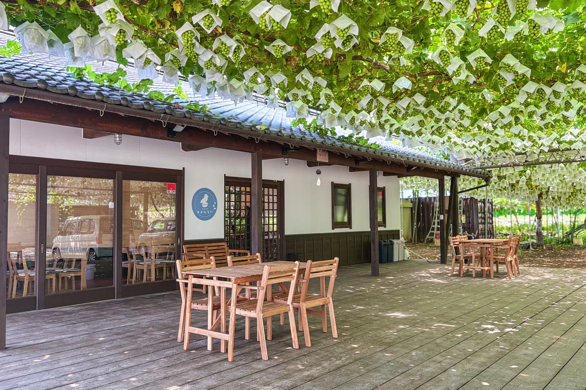Cafe マメルリハ