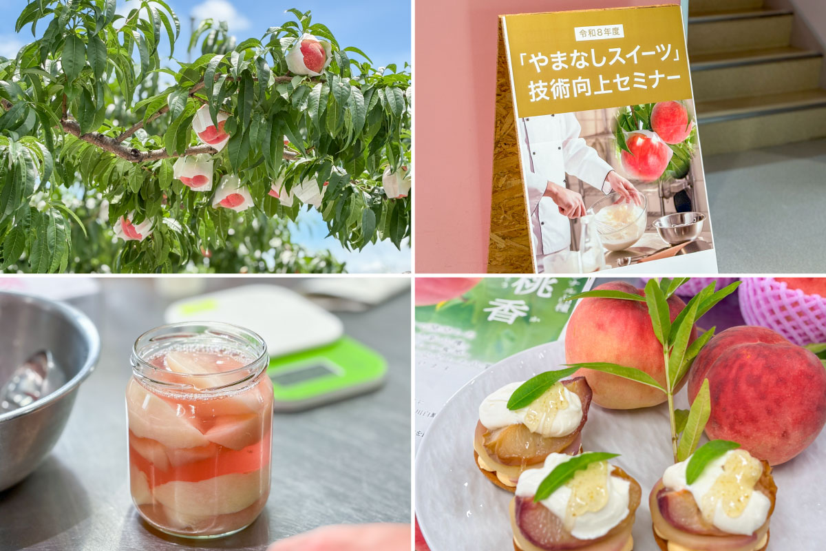 Museum café Sweets lab 葡萄屋kofu